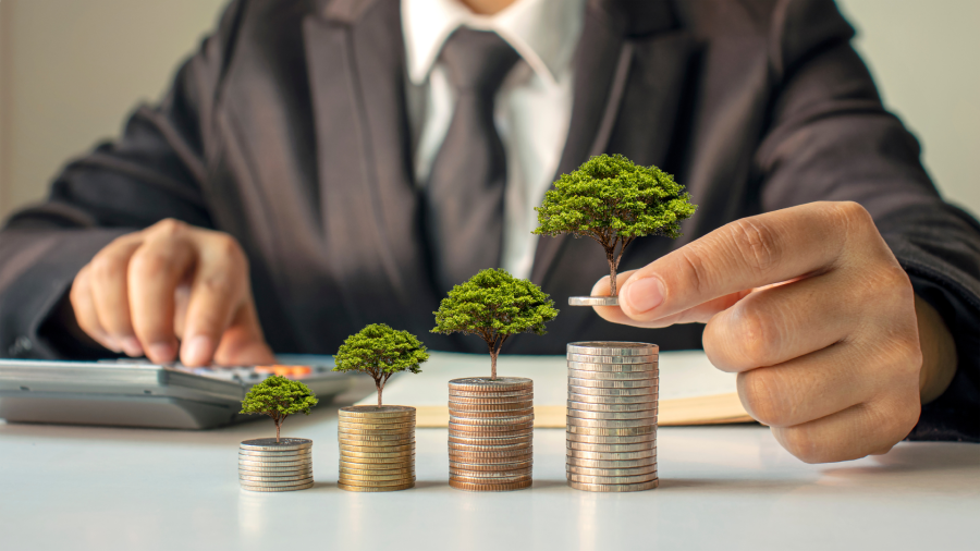 personalized wealth management, growing money